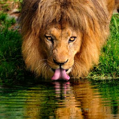 ארבעה טיפים למין אוראלי מושלם&nbsp;לאישה